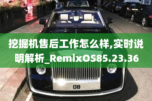 挖掘机售后工作怎么样,实时说明解析_RemixOS85.23.36