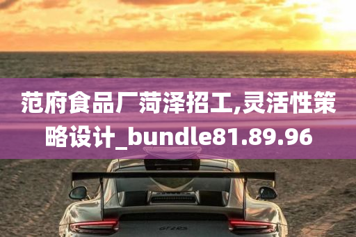 范府食品厂菏泽招工,灵活性策略设计_bundle81.89.96