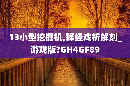 13小型挖掘机,释经戏析解刻_游戏版?GH4GF89