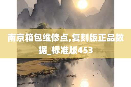 南京箱包维修点,复刻版正品数据_标准版453