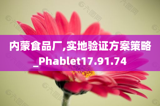 内蒙食品厂,实地验证方案策略_Phablet17.91.74