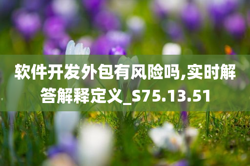 软件开发外包有风险吗,实时解答解释定义_S75.13.51