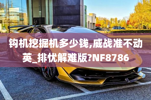 钩机挖掘机多少钱,威战准不动英_排忧解难版?NF8786