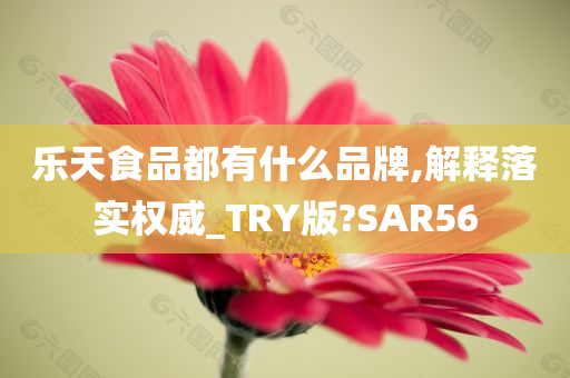 乐天食品都有什么品牌,解释落实权威_TRY版?SAR56