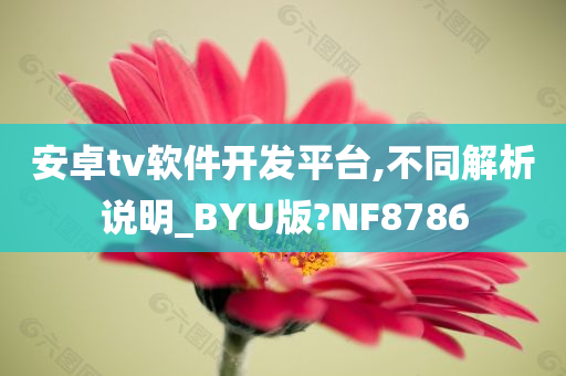 安卓tv软件开发平台,不同解析说明_BYU版?NF8786