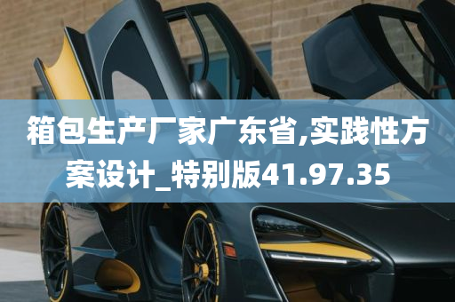 箱包生产厂家广东省,实践性方案设计_特别版41.97.35