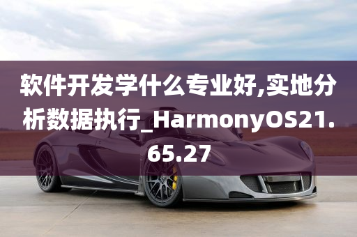 软件开发学什么专业好,实地分析数据执行_HarmonyOS21.65.27