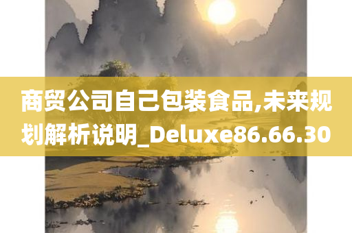 商贸公司自己包装食品,未来规划解析说明_Deluxe86.66.30