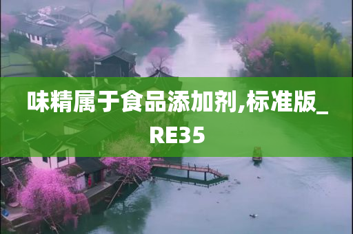 味精属于食品添加剂,标准版_RE35