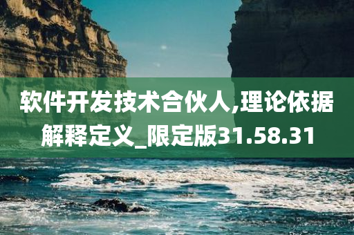 软件开发技术合伙人,理论依据解释定义_限定版31.58.31