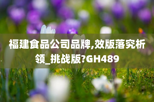 福建食品公司品牌,效版落究析领_挑战版?GH489