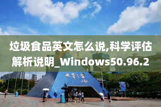 垃圾食品英文怎么说,科学评估解析说明_Windows50.96.20