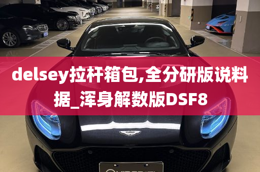 delsey拉杆箱包,全分研版说料据_浑身解数版DSF8