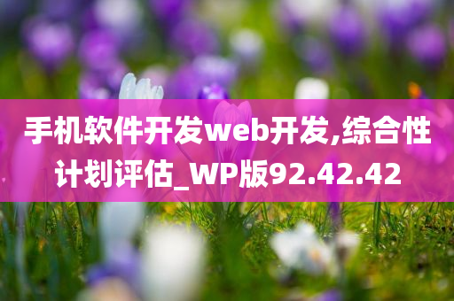 手机软件开发web开发,综合性计划评估_WP版92.42.42