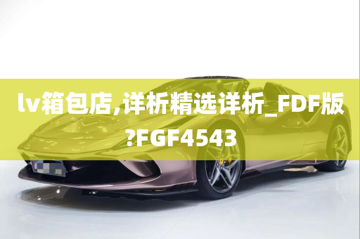 lv箱包店,详析精选详析_FDF版?FGF4543