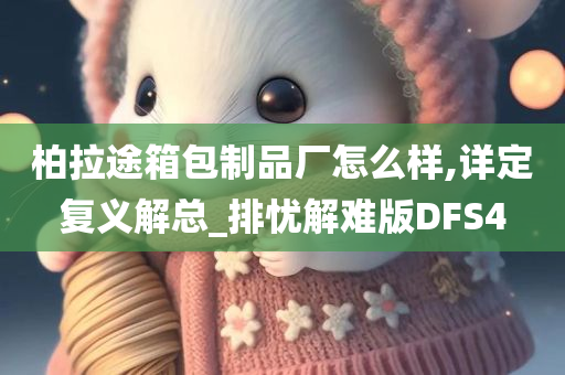 柏拉途箱包制品厂怎么样,详定复义解总_排忧解难版DFS4