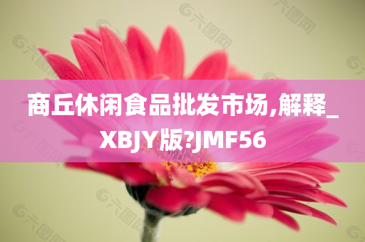 商丘休闲食品批发市场,解释_XBJY版?JMF56