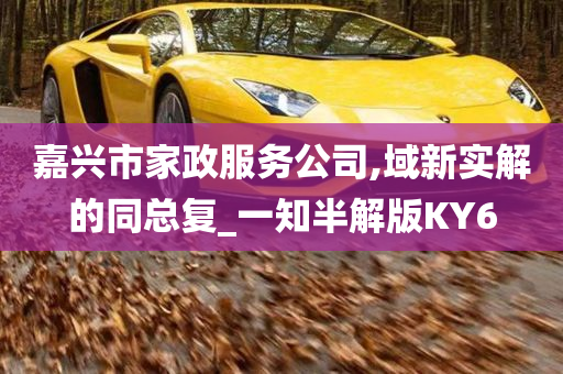 嘉兴市家政服务公司,域新实解的同总复_一知半解版KY6