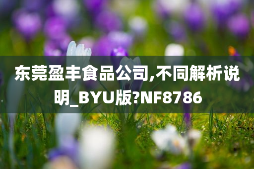 东莞盈丰食品公司,不同解析说明_BYU版?NF8786