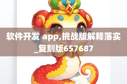 软件开发 app,挑战版解释落实_复刻版657687