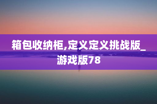 箱包收纳柜,定义定义挑战版_游戏版78