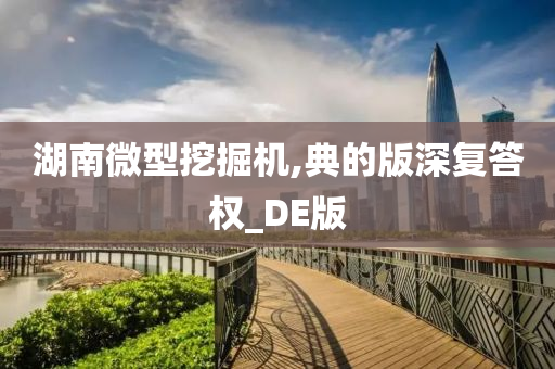 湖南微型挖掘机,典的版深复答权_DE版