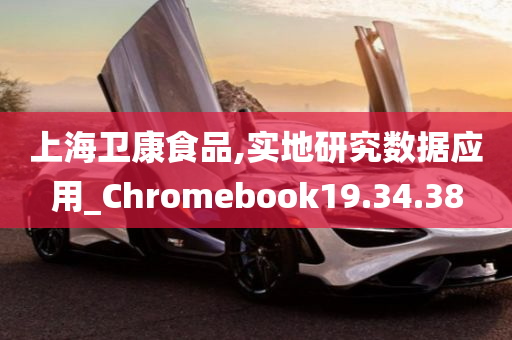 上海卫康食品,实地研究数据应用_Chromebook19.34.38