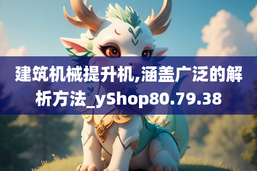 建筑机械提升机,涵盖广泛的解析方法_yShop80.79.38