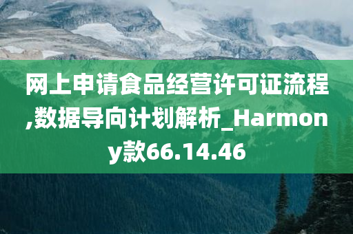 网上申请食品经营许可证流程,数据导向计划解析_Harmony款66.14.46