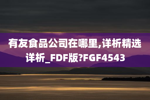 有友食品公司在哪里,详析精选详析_FDF版?FGF4543