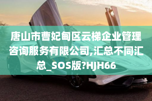 唐山市曹妃甸区云梯企业管理咨询服务有限公司,汇总不同汇总_SOS版?HJH66