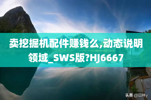 卖挖掘机配件赚钱么,动态说明领域_SWS版?HJ6667