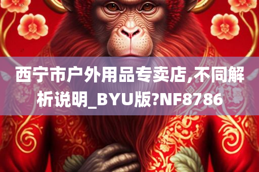 西宁市户外用品专卖店,不同解析说明_BYU版?NF8786