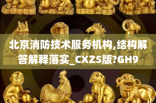 北京消防技术服务机构,结构解答解释落实_CXZS版?GH9