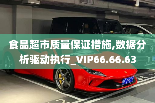 食品超市质量保证措施,数据分析驱动执行_VIP66.66.63