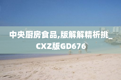 中央厨房食品,版解解精析挑_CXZ版GD676