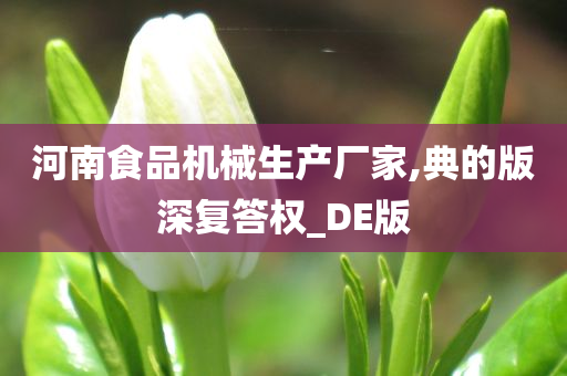 河南食品机械生产厂家,典的版深复答权_DE版