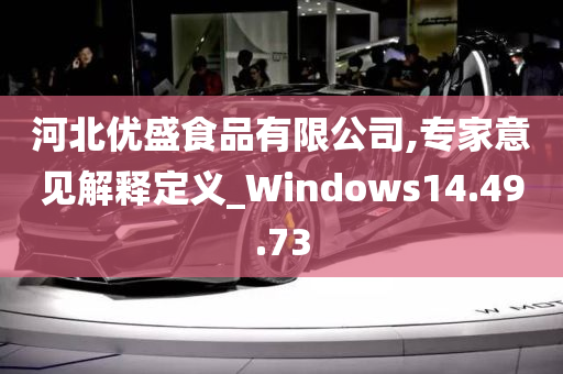 河北优盛食品有限公司,专家意见解释定义_Windows14.49.73