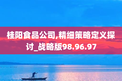 桂阳食品公司,精细策略定义探讨_战略版98.96.97