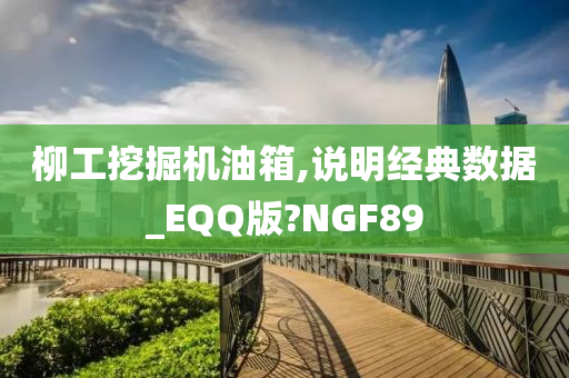 柳工挖掘机油箱,说明经典数据_EQQ版?NGF89