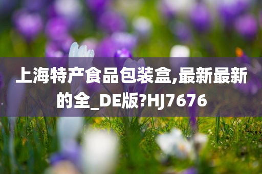 上海特产食品包装盒,最新最新的全_DE版?HJ7676