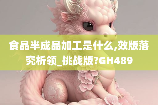 食品半成品加工是什么,效版落究析领_挑战版?GH489