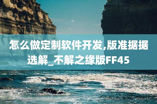 怎么做定制软件开发,版准据据选解_不解之缘版FF45