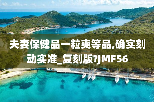 夫妻保健品一粒爽等品,确实刻动实准_复刻版?JMF56