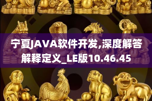 宁夏JAVA软件开发,深度解答解释定义_LE版10.46.45