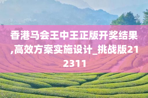 香港马会王中王正版开奖结果,高效方案实施设计_挑战版212311