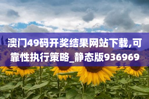 澳门49码开奖结果网站下载,可靠性执行策略_静态版936969