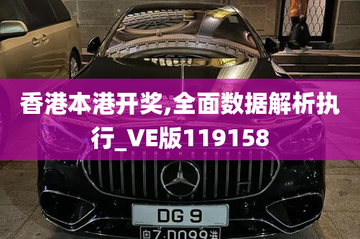 香港本港开奖,全面数据解析执行_VE版119158