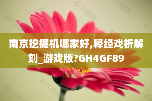 南京挖掘机哪家好,释经戏析解刻_游戏版?GH4GF89