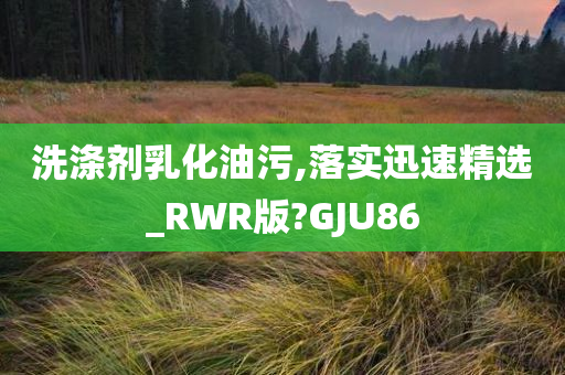 洗涤剂乳化油污,落实迅速精选_RWR版?GJU86